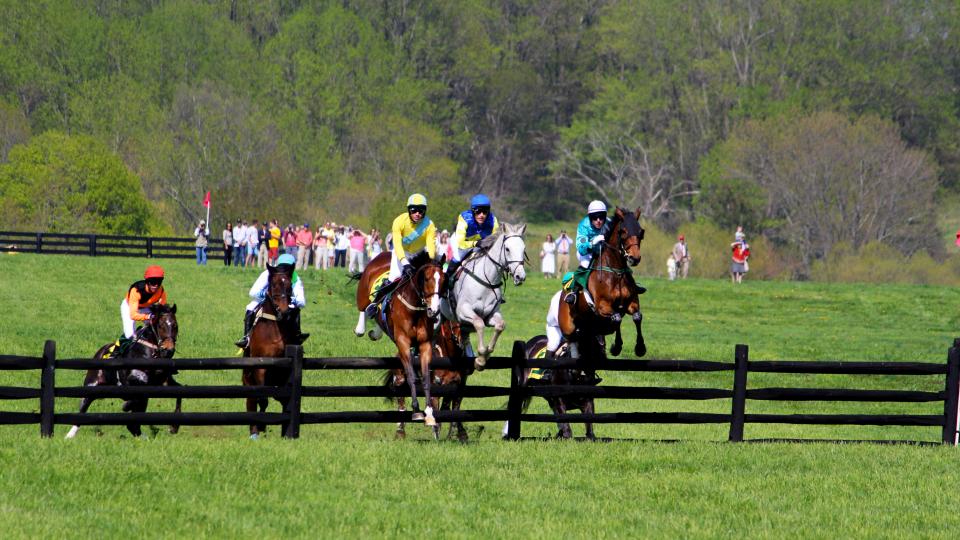 Maryland Steeplechasing (Images of America)